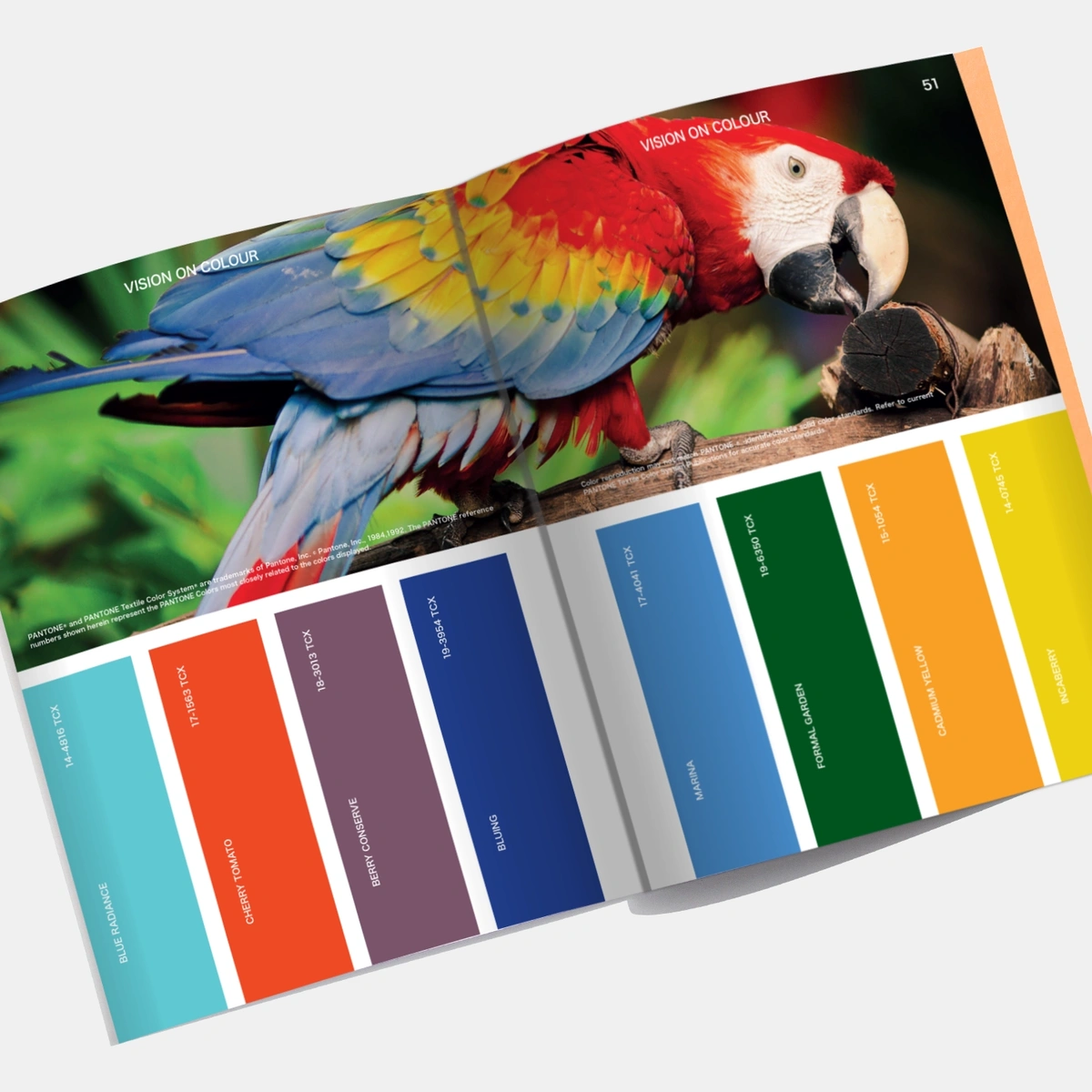 VIEWPOINT Colour Issue 14 - Human Nature – Seaga